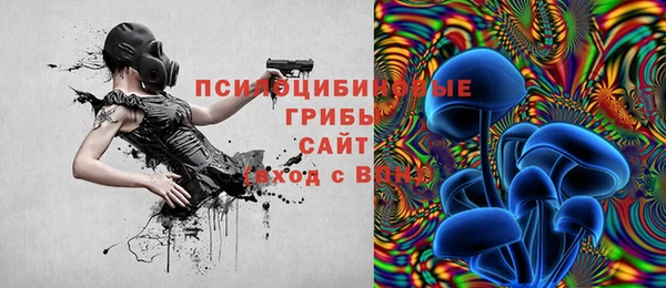 мдпв Балахна