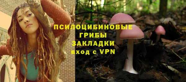 ПСИЛОЦИБИНОВЫЕ ГРИБЫ Баксан