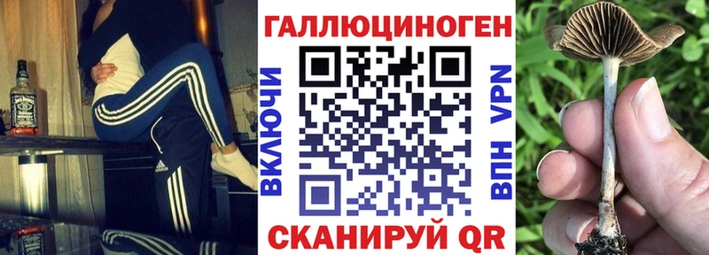 Галлюциногенные грибы MAGIC MUSHROOMS  Ужур 