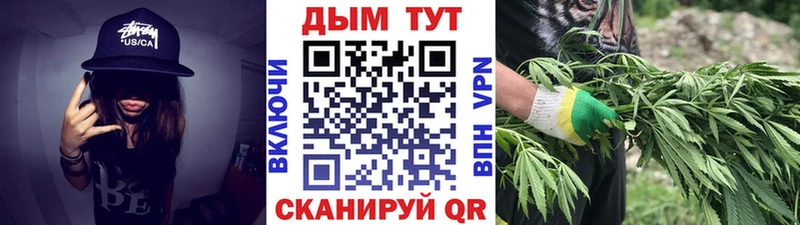 Бошки марихуана Amnesia  кракен как зайти  Ужур 